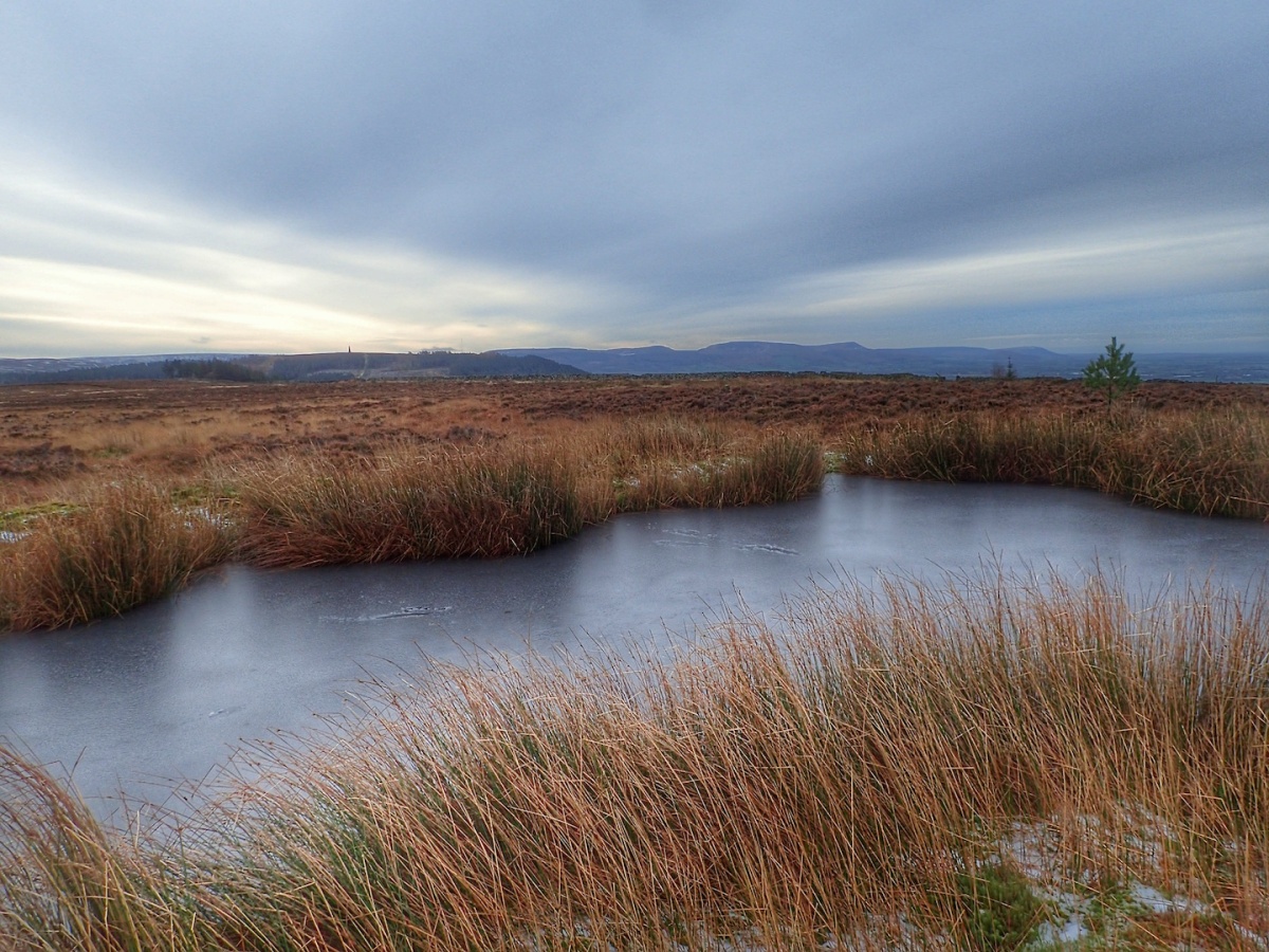 Frozen Pond, Newton Moor